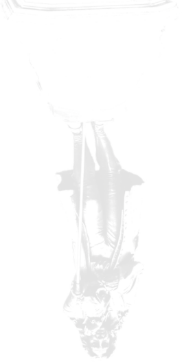 Keywords | ECHOES
