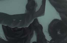 Keywords | ECHOES